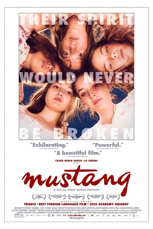 فيلم الحصان البري 2015 Mustang مترجم